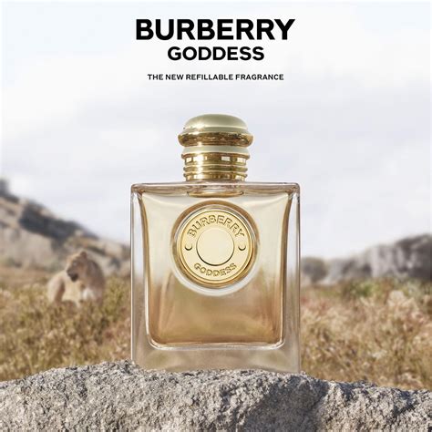 parfum burberry goddess homme|is Burberry cologne expensive.